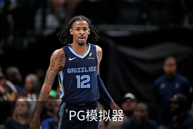 PG模拟器公司介绍